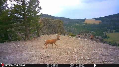 Tiny photo for TBD Indian Creek Road, Townsend, MT 59644 (MLS # 30071348)