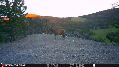 Tiny photo for TBD Indian Creek Road, Townsend, MT 59644 (MLS # 30071348)