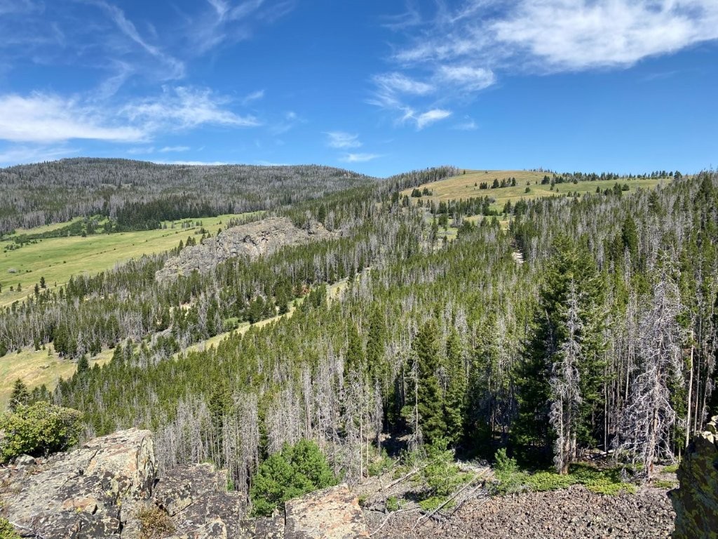 TBD Indian Creek Road