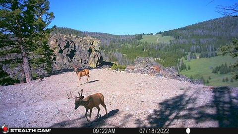 Tiny photo for TBD Indian Creek Road, Townsend, MT 59644 (MLS # 30071348)
