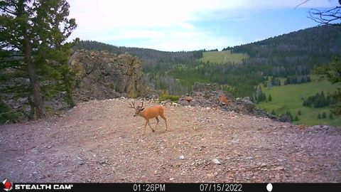 Tiny photo for TBD Indian Creek Road, Townsend, MT 59644 (MLS # 30071348)