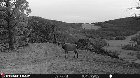 Tiny photo for TBD Indian Creek Road, Townsend, MT 59644 (MLS # 30071348)