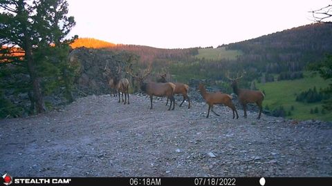 Tiny photo for TBD Indian Creek Road, Townsend, MT 59644 (MLS # 30071348)