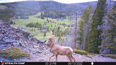 Tiny photo for TBD Indian Creek Road, Townsend, MT 59644 (MLS # 30071348)