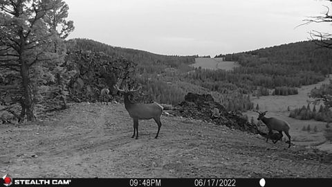Tiny photo for TBD Indian Creek Road, Townsend, MT 59644 (MLS # 30071348)