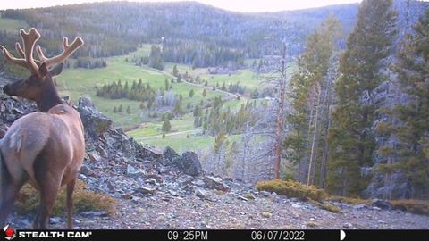 Tiny photo for TBD Indian Creek Road, Townsend, MT 59644 (MLS # 30071348)