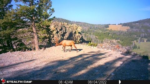 Tiny photo for TBD Indian Creek Road, Townsend, MT 59644 (MLS # 30071348)