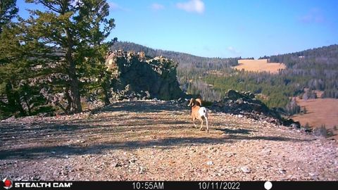 Tiny photo for TBD Indian Creek Road, Townsend, MT 59644 (MLS # 30071348)