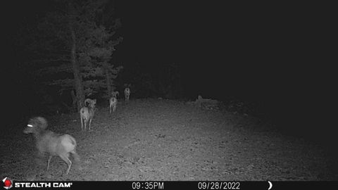 Tiny photo for TBD Indian Creek Road, Townsend, MT 59644 (MLS # 30071348)