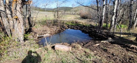 Tiny photo for 6860 Raven Road, Helena, MT 59602 (MLS # 30071355)