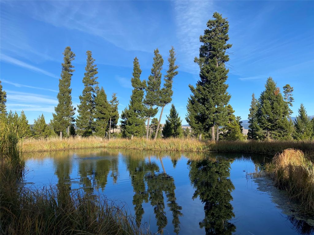Photo of 42 Grey Owl Road, Philipsburg, MT 59858 (MLS # 30068012)