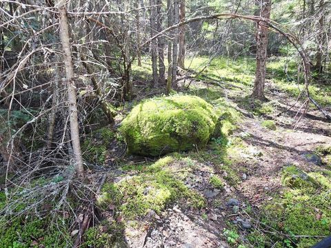 Tiny photo for 93 Wapiti Point Road, Thompson Falls, MT 59873 (MLS # 30070215)