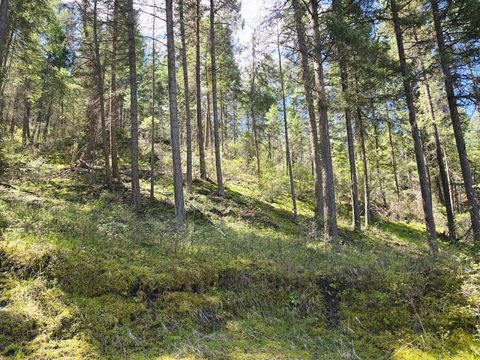 Tiny photo for 93 Wapiti Point Road, Thompson Falls, MT 59873 (MLS # 30070215)