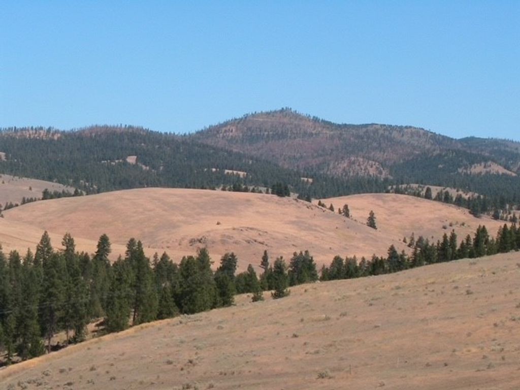 Photo of NHN Granite Creek Road, Florence, MT 59833 (MLS # 30054448)