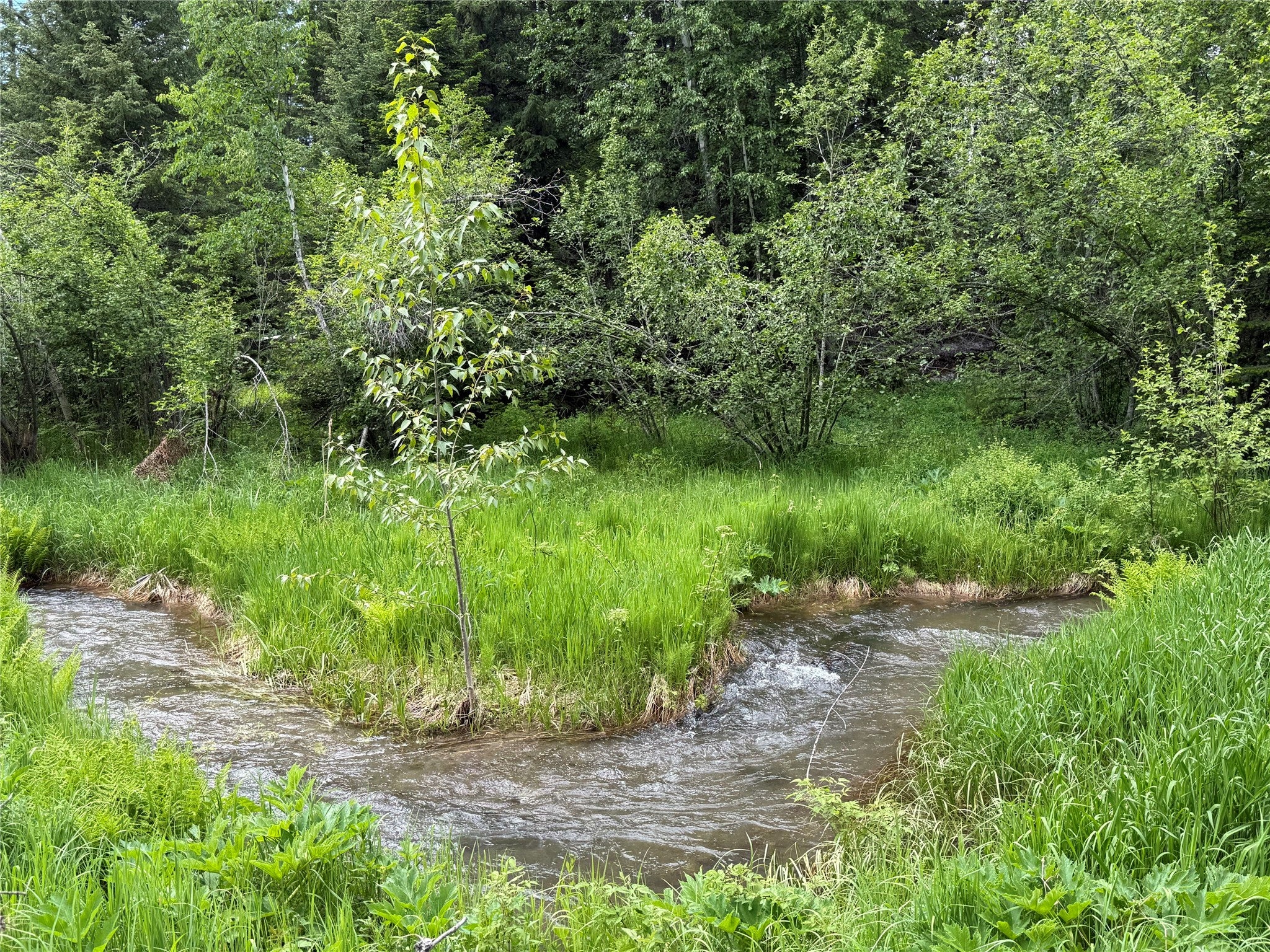 622 Wild Swan Trail