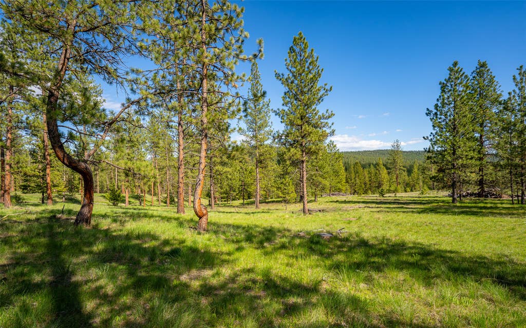 Photo of 3655 Hubbart Dam Road, Marion, MT 59925 (MLS # 30071040)