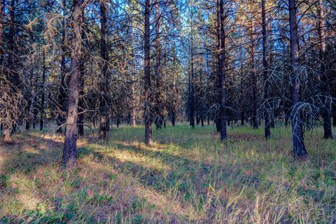 Photo of TBD Break Road, Libby, MT 59923 (MLS # 30058473)