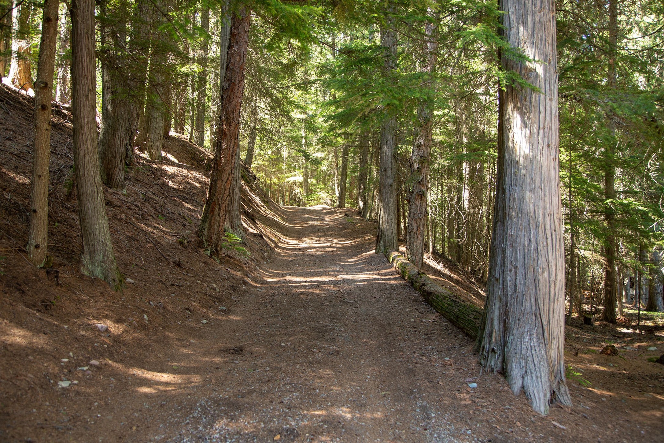 West Glacier, Montana 59936, United States, 2 Bedrooms Bedrooms, ,1 BathroomBathrooms,Residential,Active,57585