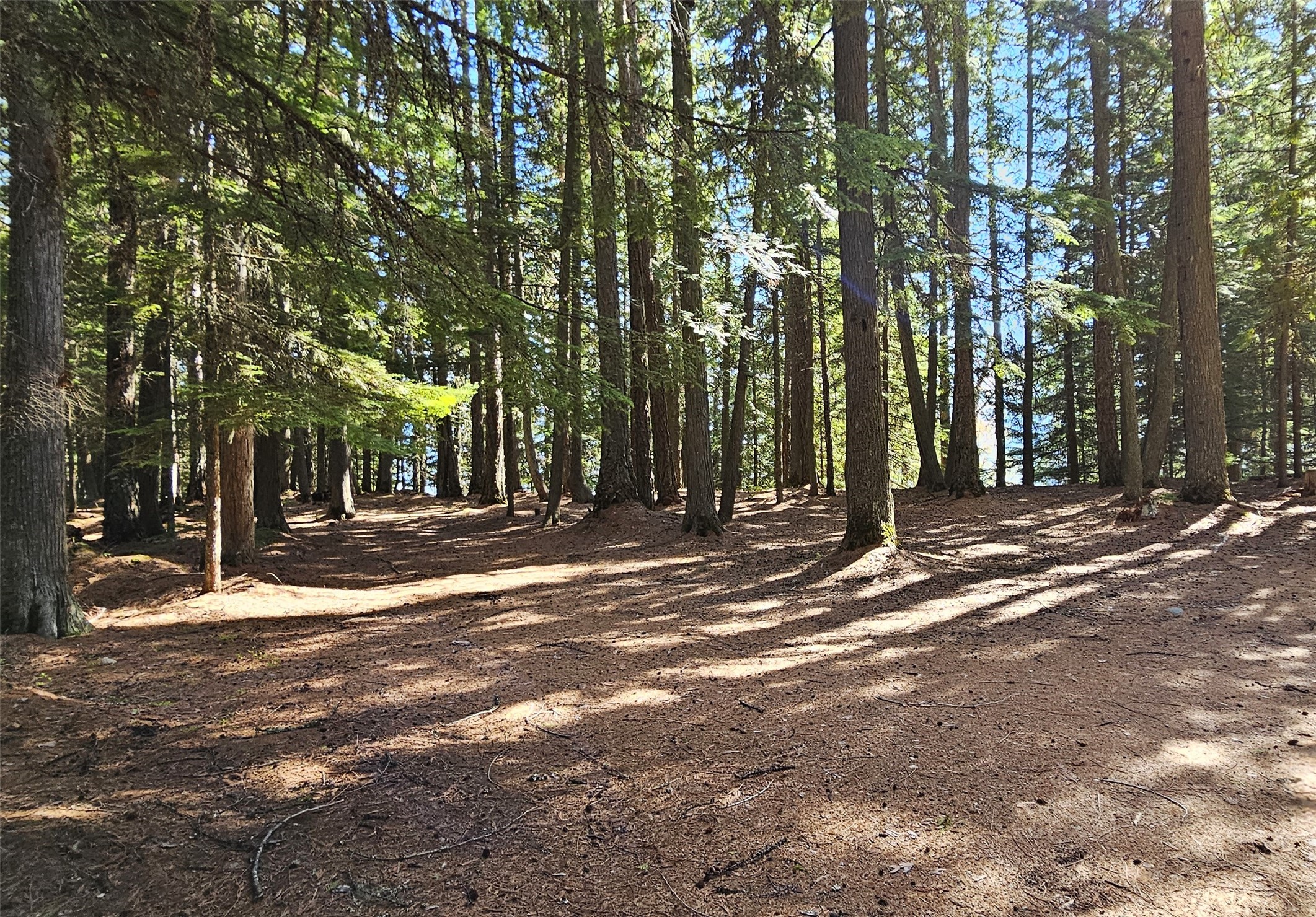 West Glacier, Montana 59936, United States, 2 Bedrooms Bedrooms, ,1 BathroomBathrooms,Residential,Active,57585