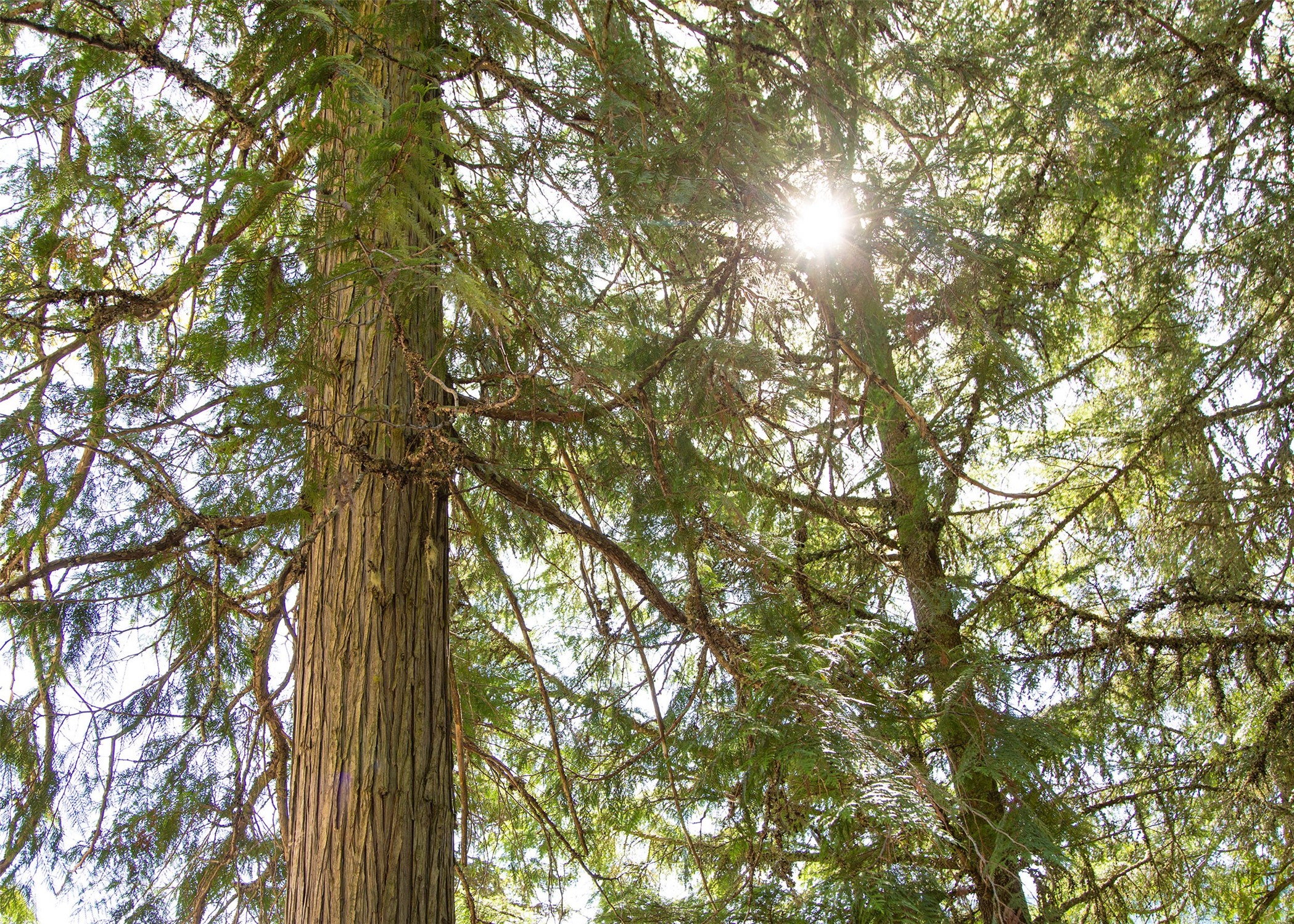 West Glacier, Montana 59936, United States, 2 Bedrooms Bedrooms, ,1 BathroomBathrooms,Residential,Active,57585