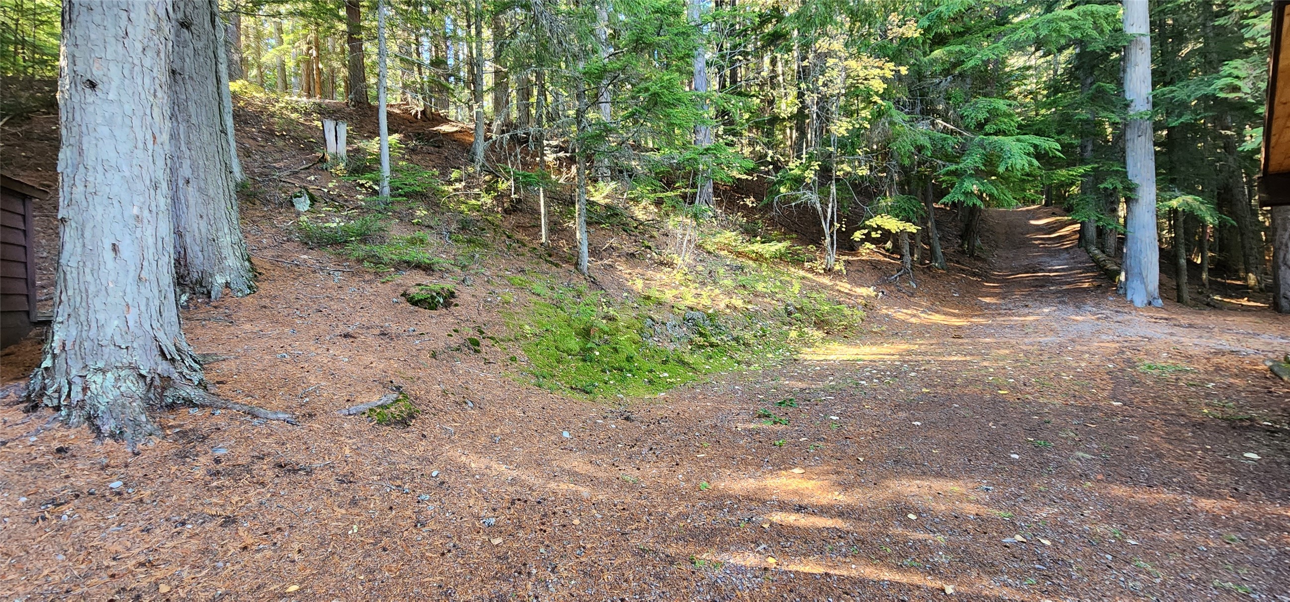 West Glacier, Montana 59936, United States, 2 Bedrooms Bedrooms, ,1 BathroomBathrooms,Residential,Active,57585