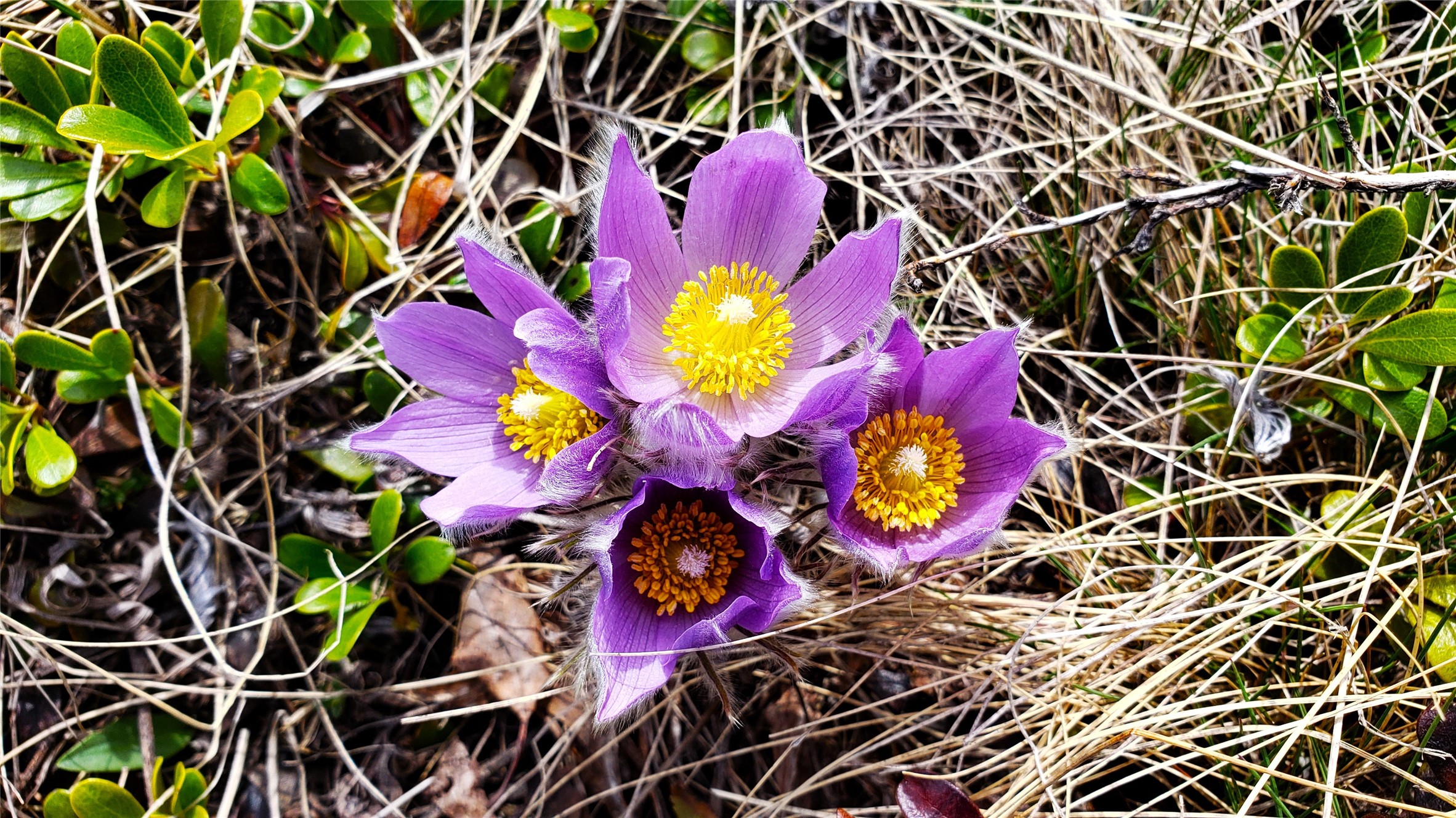 West Glacier, Montana 59936, United States, 2 Bedrooms Bedrooms, ,1 BathroomBathrooms,Residential,Active,57585