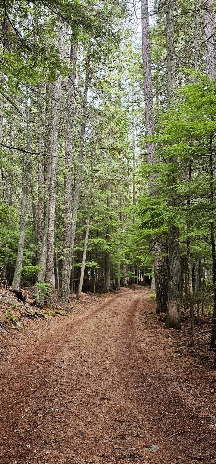 West Glacier, Montana 59936, United States, 2 Bedrooms Bedrooms, ,1 BathroomBathrooms,Residential,Active,57585