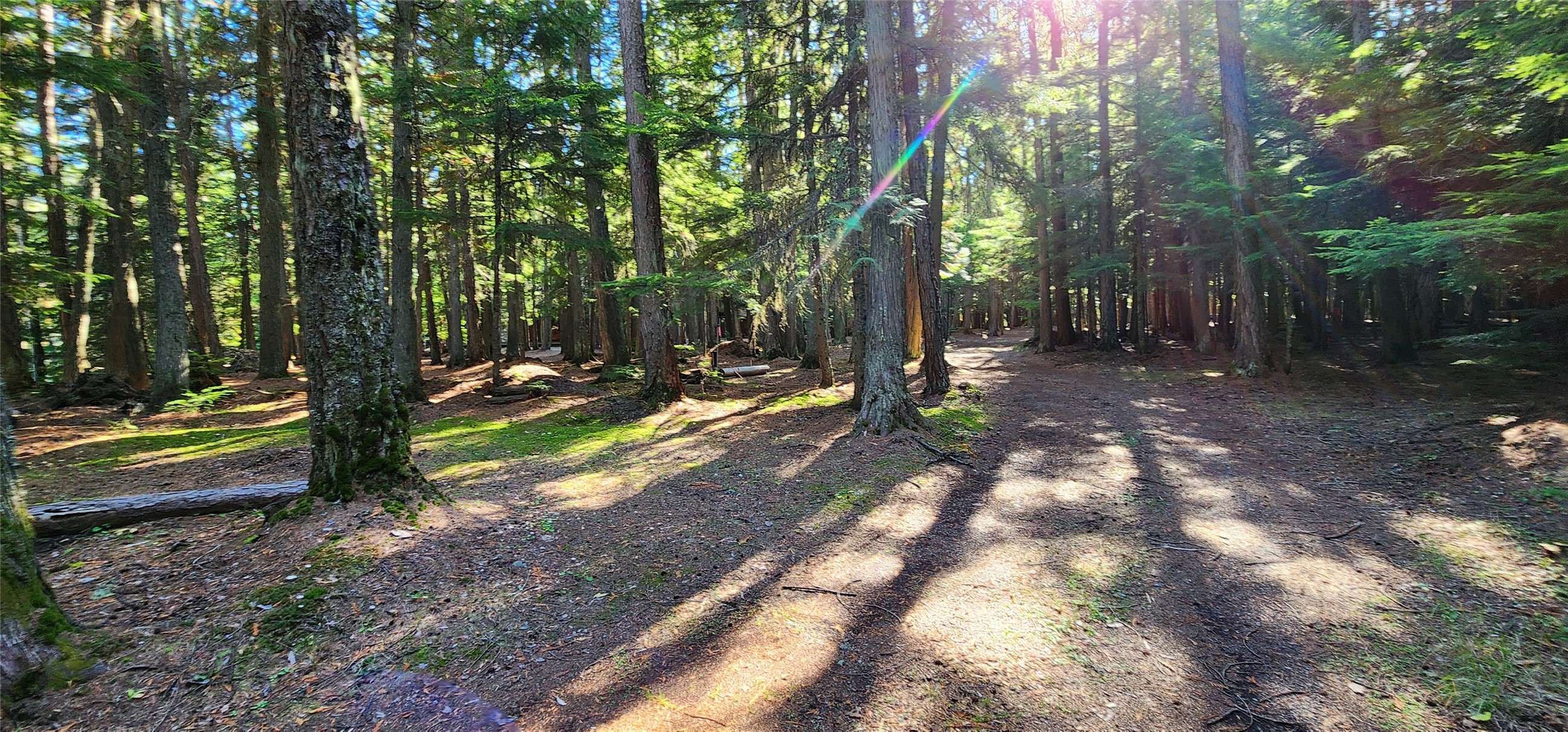 West Glacier, Montana 59936, United States, 2 Bedrooms Bedrooms, ,1 BathroomBathrooms,Residential,Active,57585