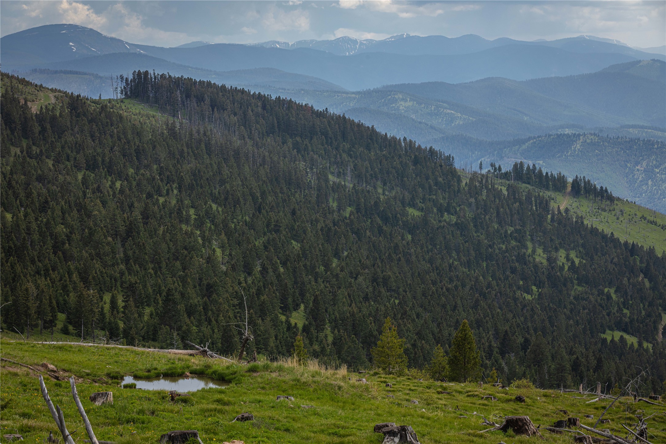 3 Tract, Garnet Range