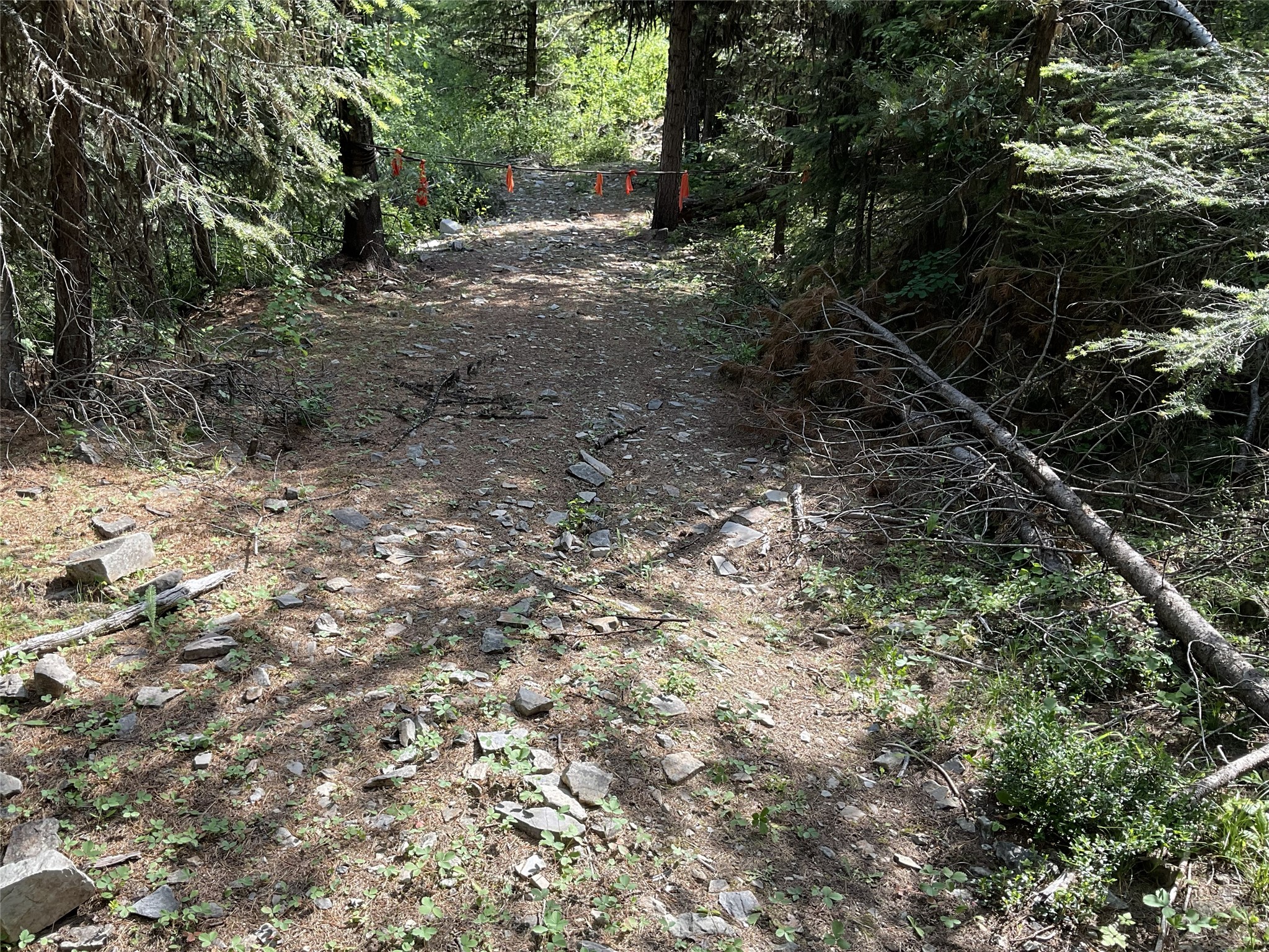 nhn Clark Hinchwood Road
