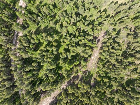 Photo of 439 Buffalo Trail, Somers, MT 59932 (MLS # 30065833)