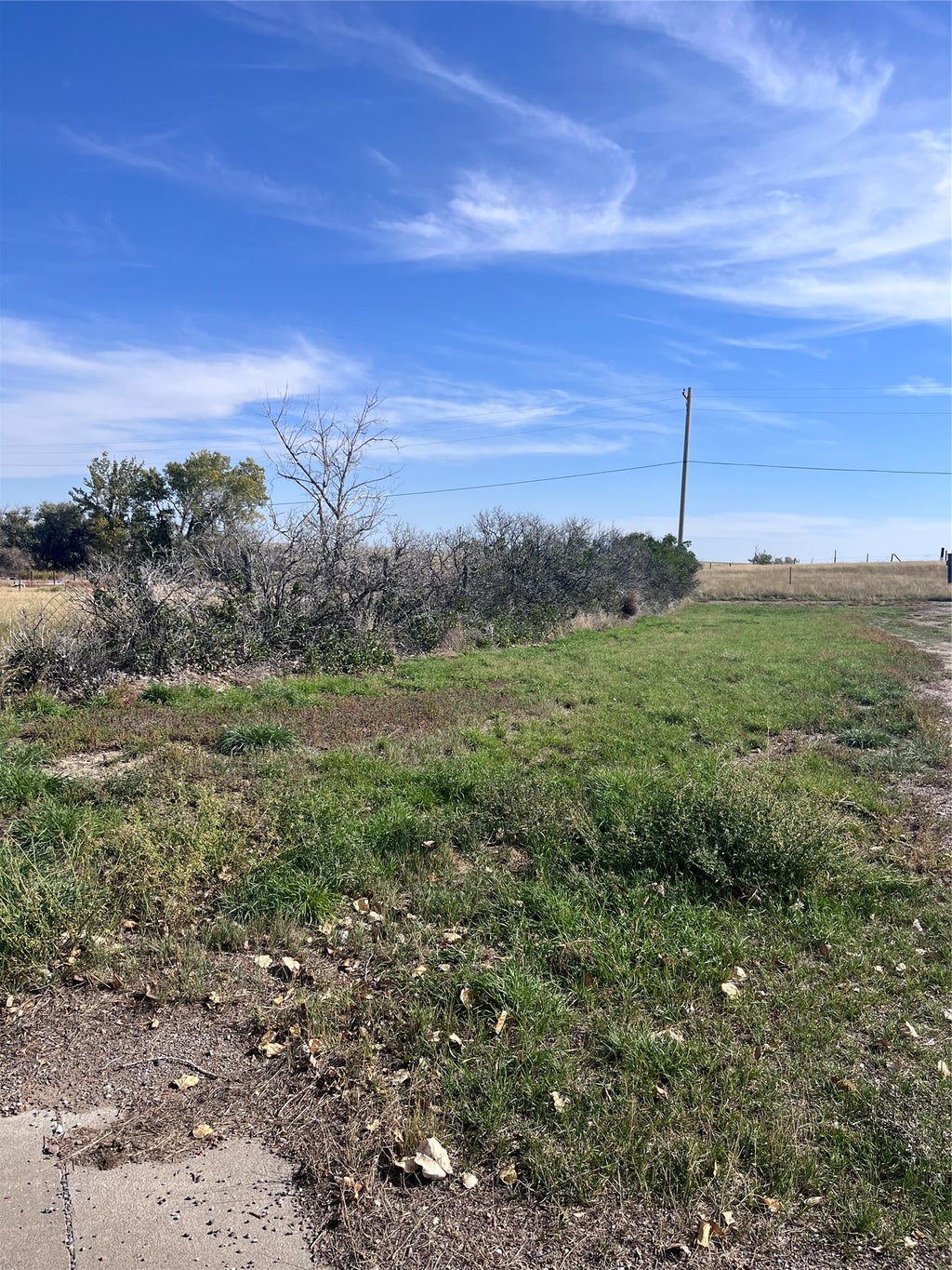 Photo of 822 Ash Avenue, Shelby, MT 59474 (MLS # 30078936)