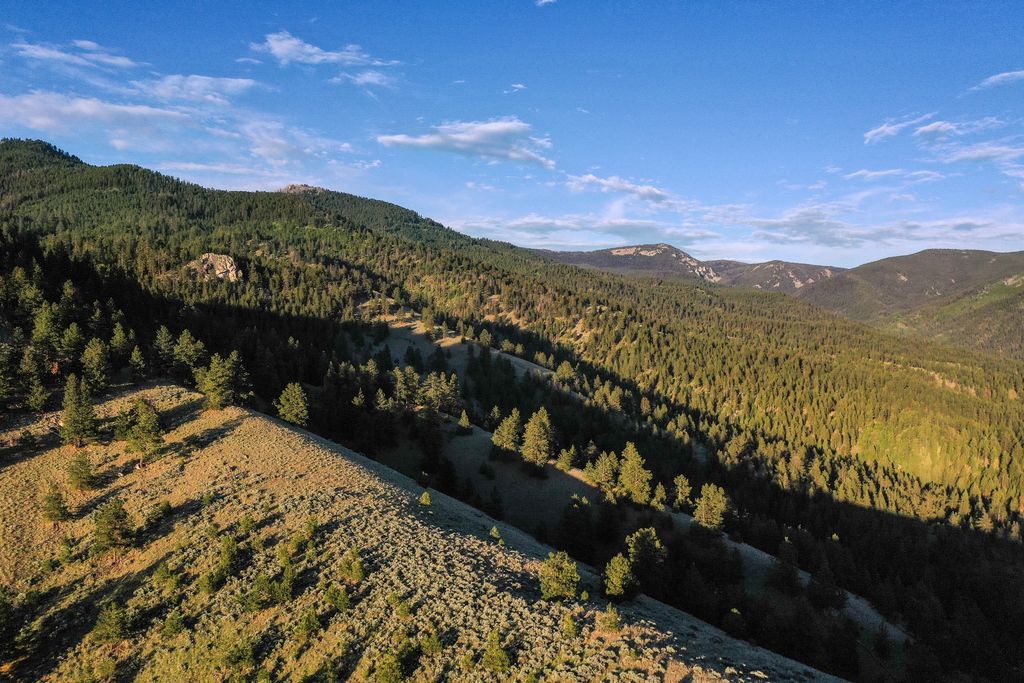 Photo of Bitterroot Highlands at Willow Creek - NHN Willow Creek Rd, Corvallis, MT 59828 (MLS # 30053583)