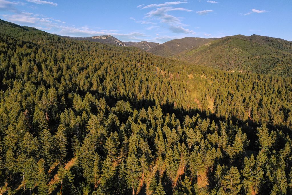 Photo of Bitterroot Highlands at Willow Creek - NHN Willow Creek Rd, Corvallis, MT 59828 (MLS # 30053583)