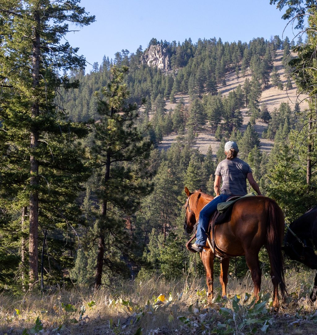 Photo of Bitterroot Highlands at Willow Creek - NHN Willow Creek Rd, Corvallis, MT 59828 (MLS # 30053583)