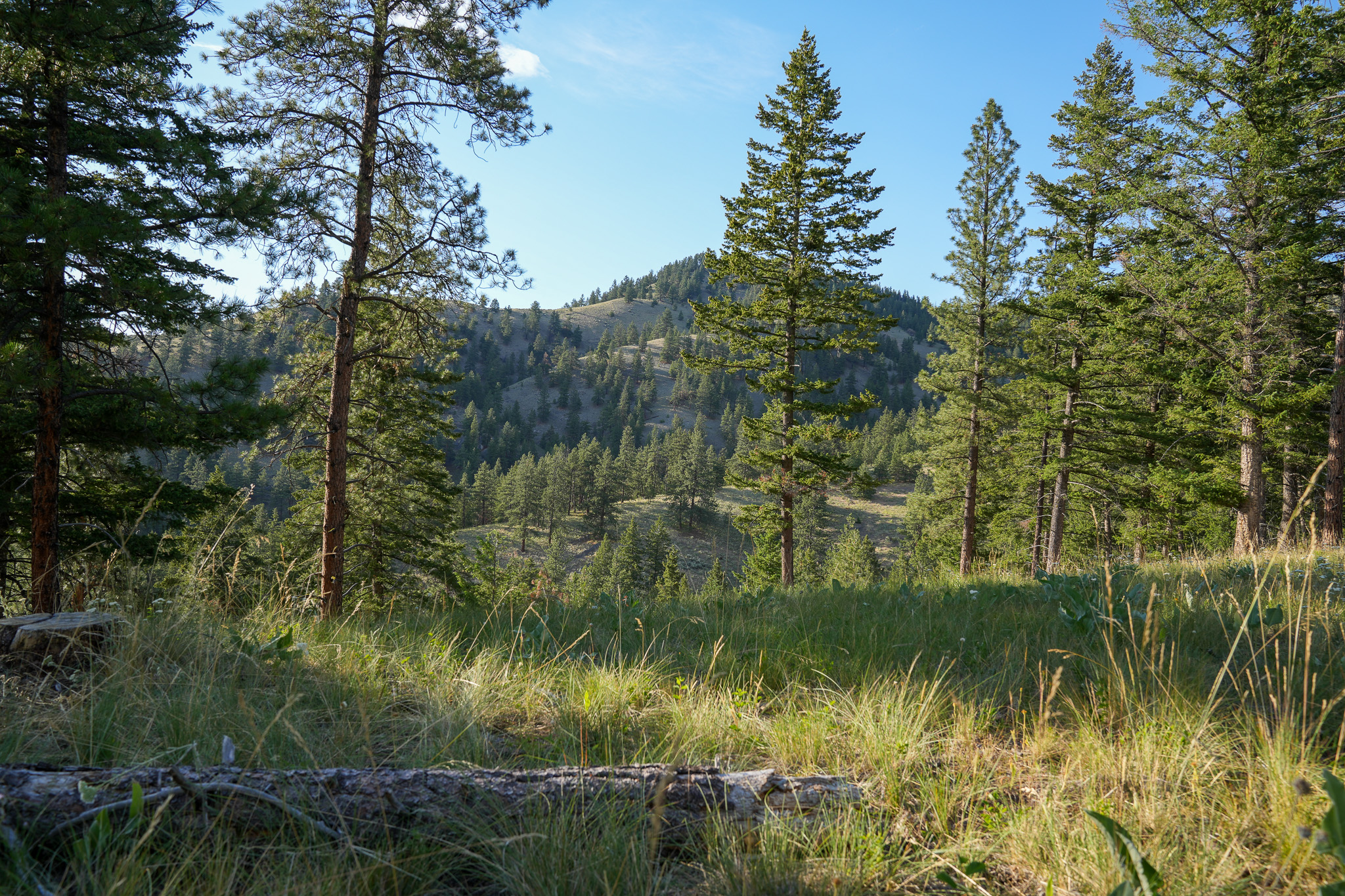 Bitterroot Highlands at Willow Creek - NHN Willow Creek Rd