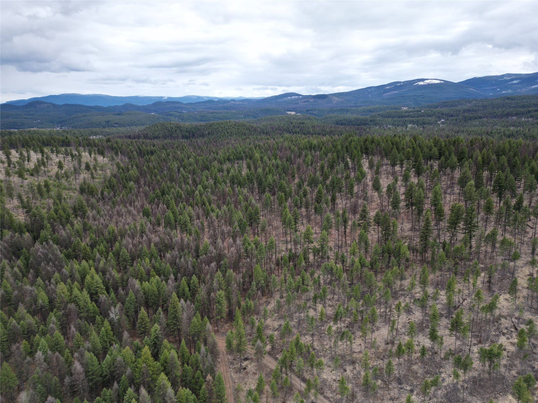Nhn 120 Acres South