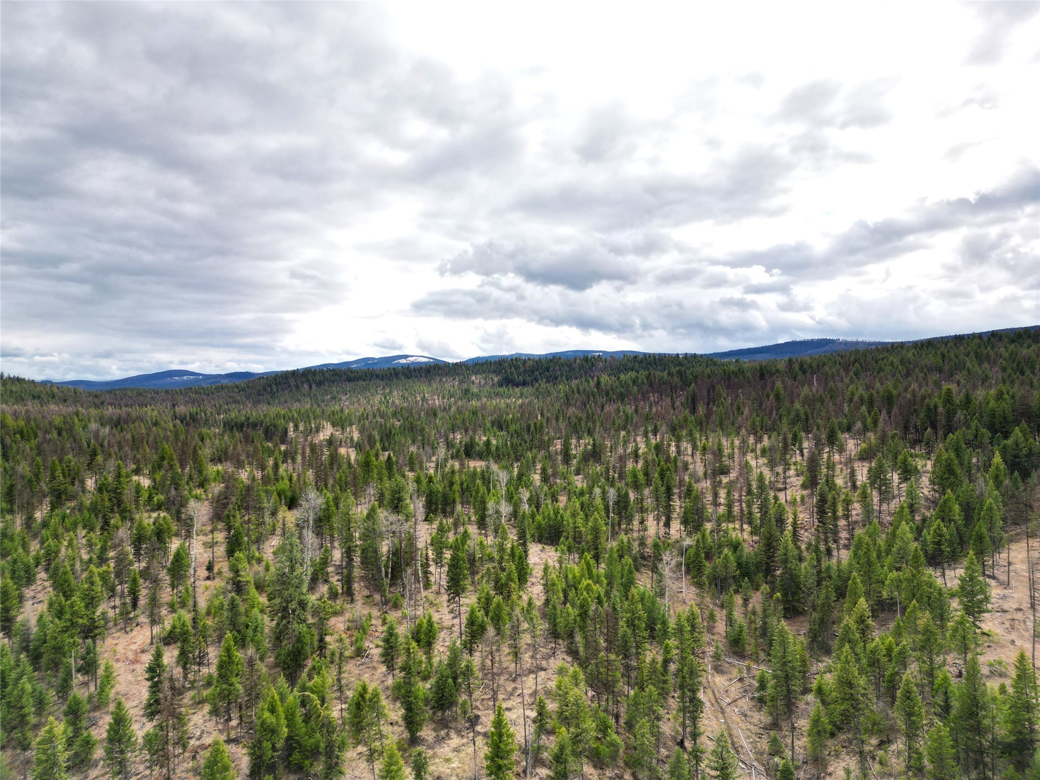 Nhn 120 Acres South