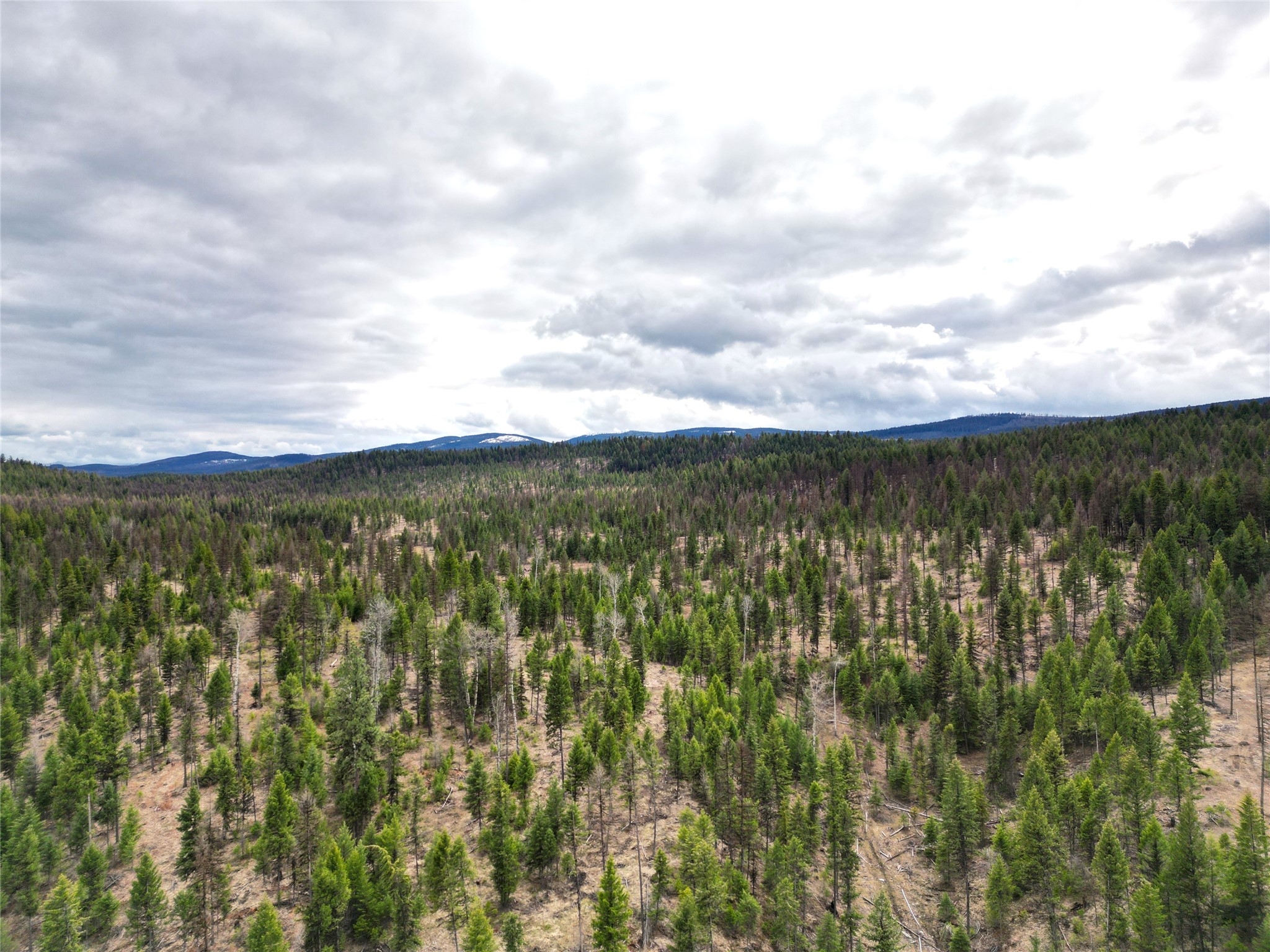 Nhn 120 Acres South