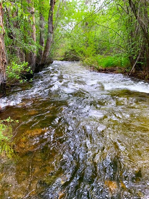 2291 Meridian Road Victor MT 59875