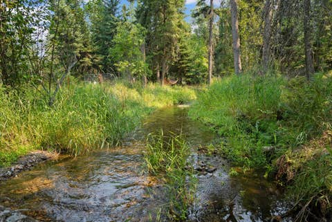 Tiny photo for 29160 Wapiti Lane, Bigfork, MT 59911 (MLS # 30077144)