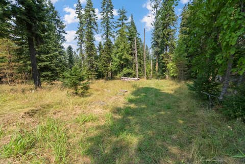 Tiny photo for 29160 Wapiti Lane, Bigfork, MT 59911 (MLS # 30077144)