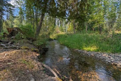 Tiny photo for 29160 Wapiti Lane, Bigfork, MT 59911 (MLS # 30077144)