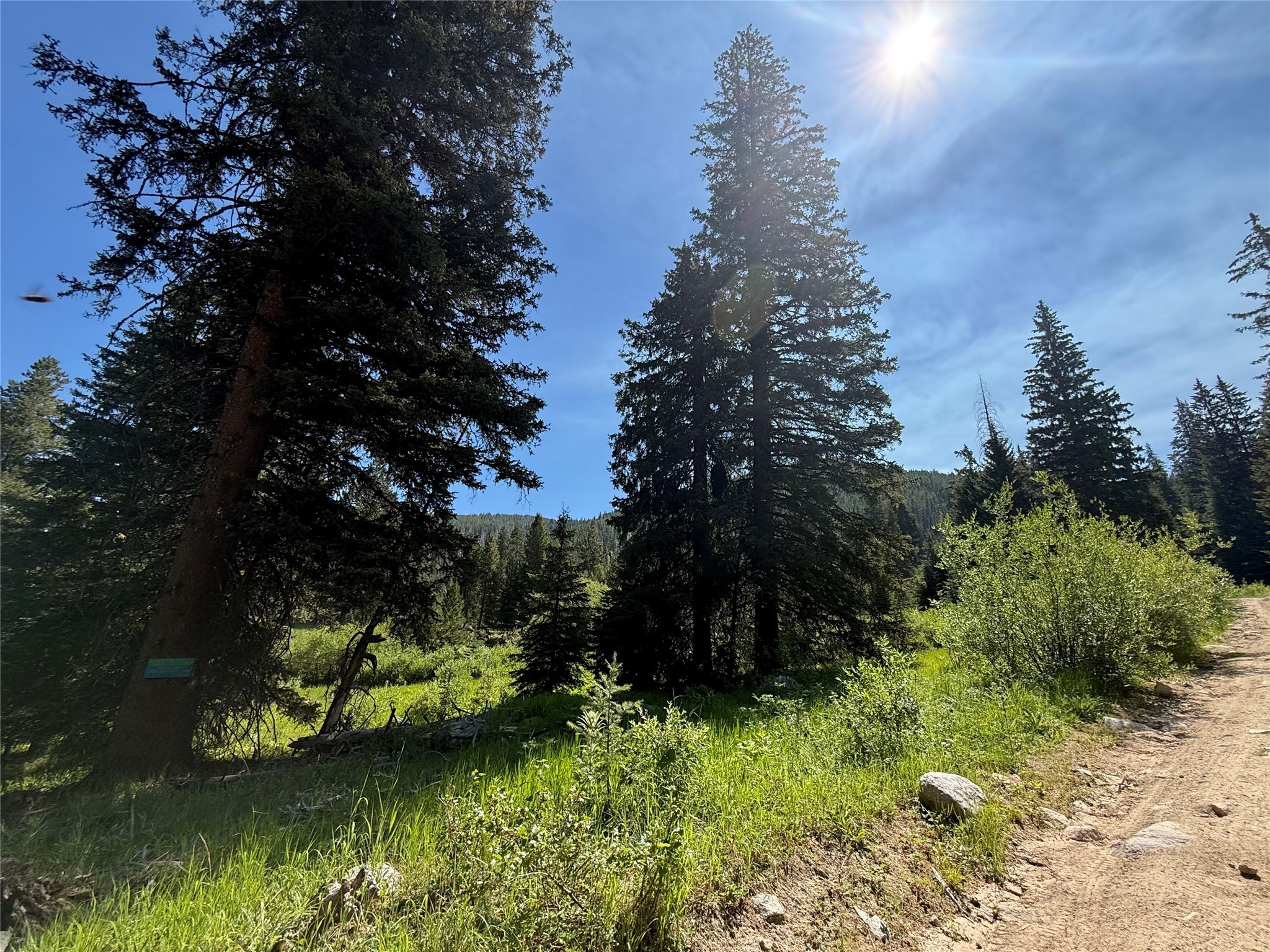 Philipsburg, Montana 59858, United States, ,Land,Active,196824