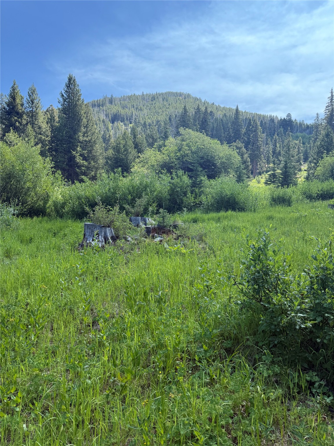 Philipsburg, Montana 59858, United States, ,Land,Active,196824