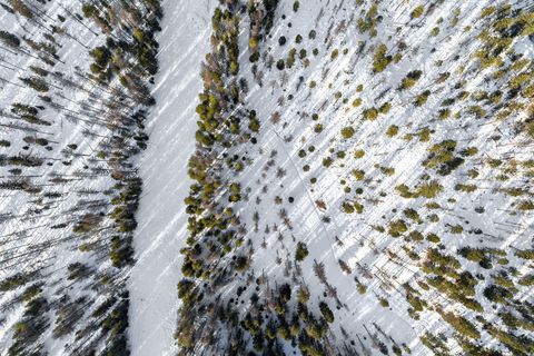 Tiny photo for 1327 Whitefish Ridge Road, Whitefish, MT 59937 (MLS # 30064545)