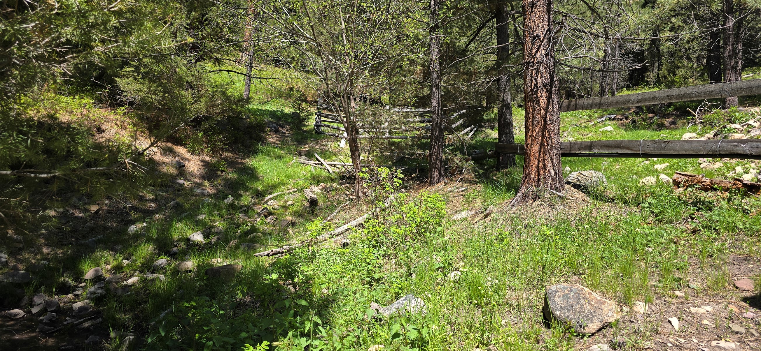 6 Tract, Bull Elk