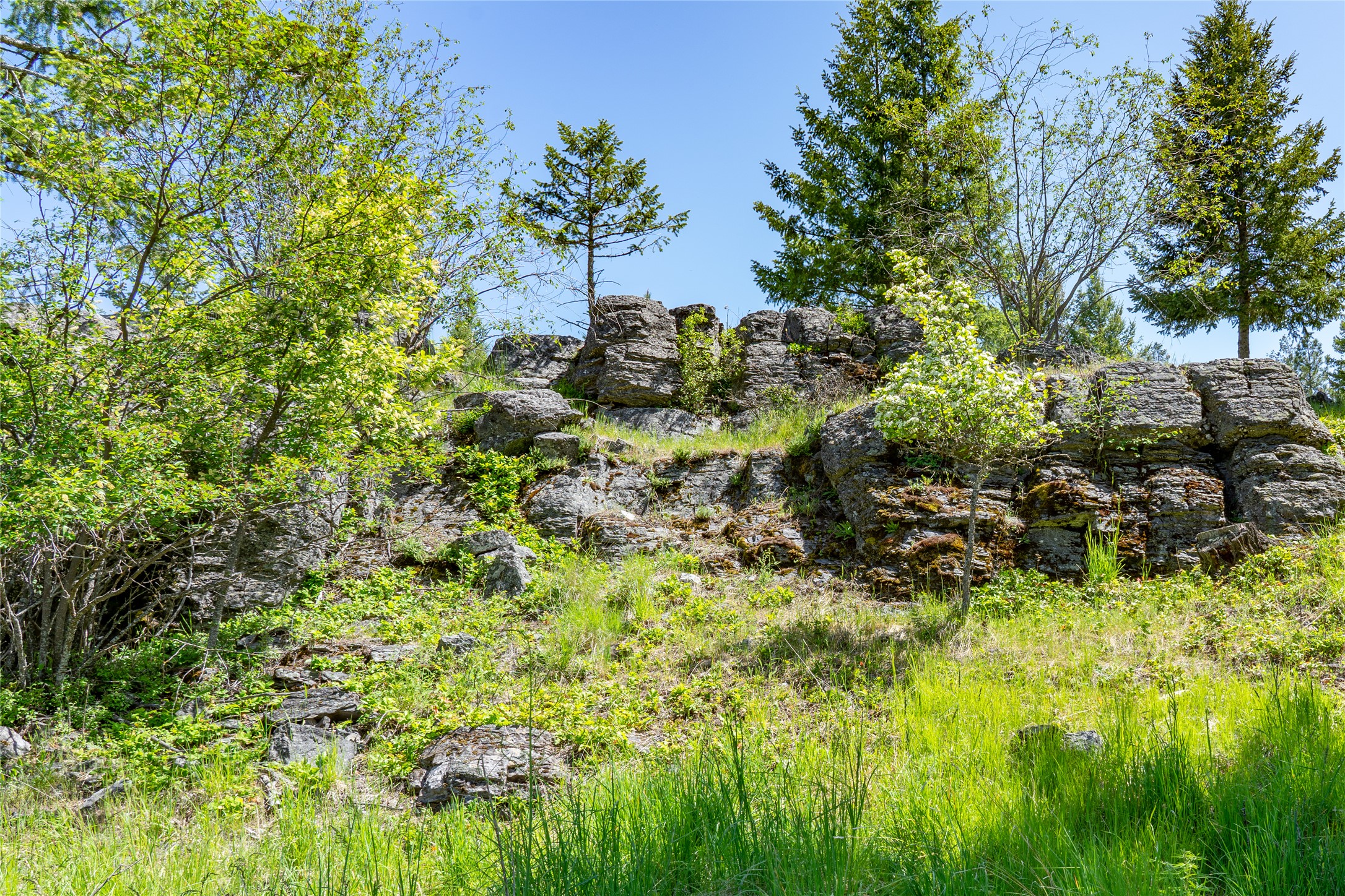 1193 Whispering Rock Road
