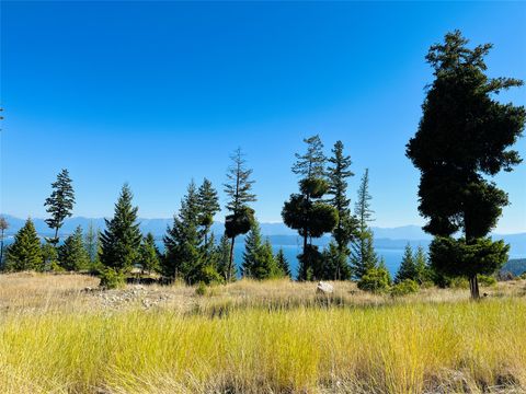 209 Ridge Line Drive Lakeside MT 59922