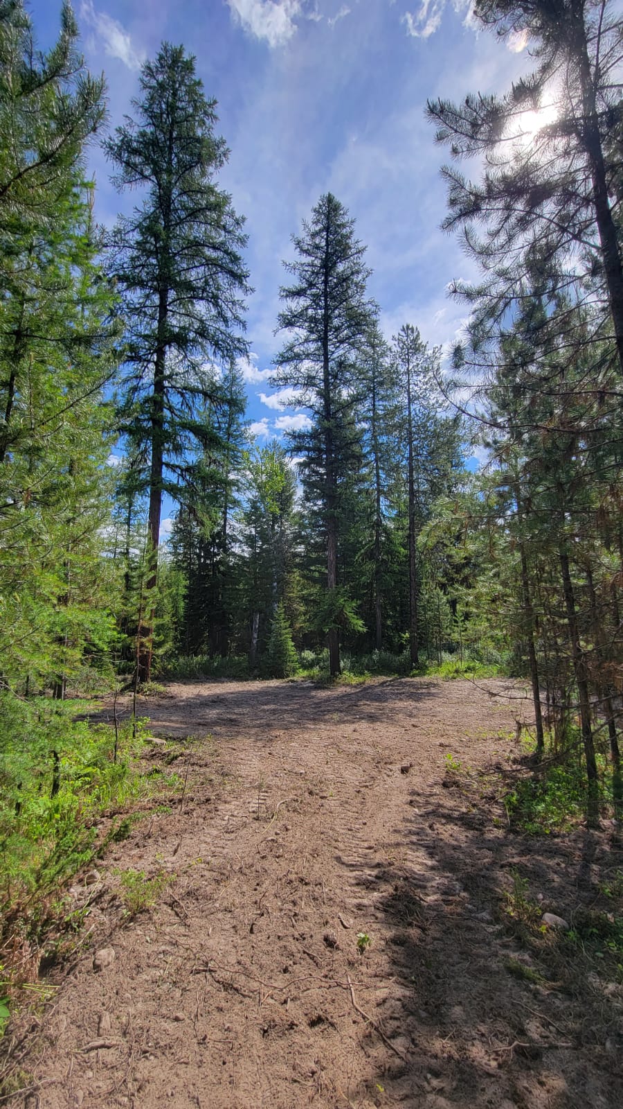 34388 Shay Lake Road